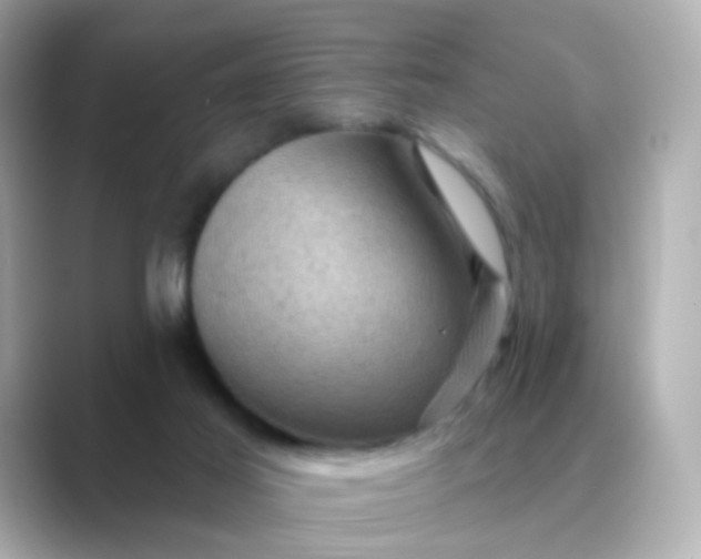 X0000088830021200706211823