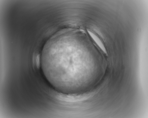 X0000088830022200706211823