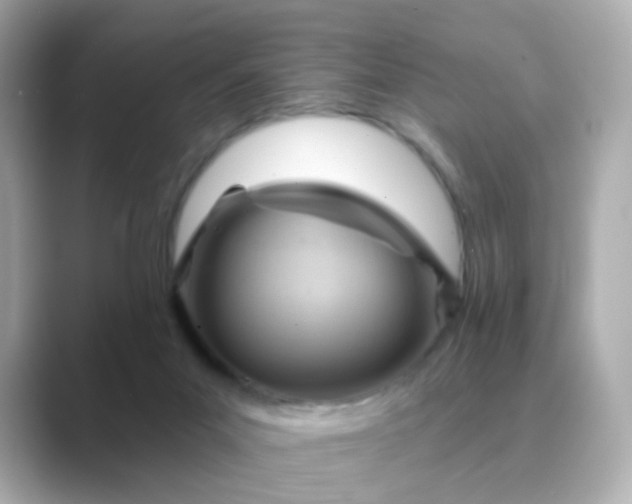 X0000088830023200706211823