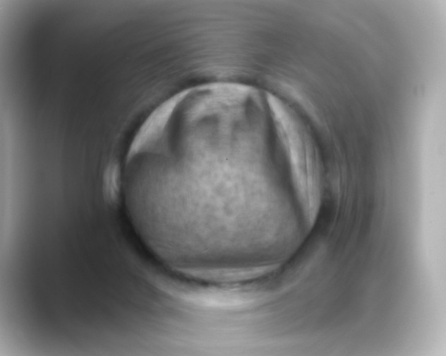 X0000088830024200706211823