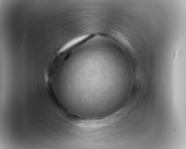 X0000088830025200706211823