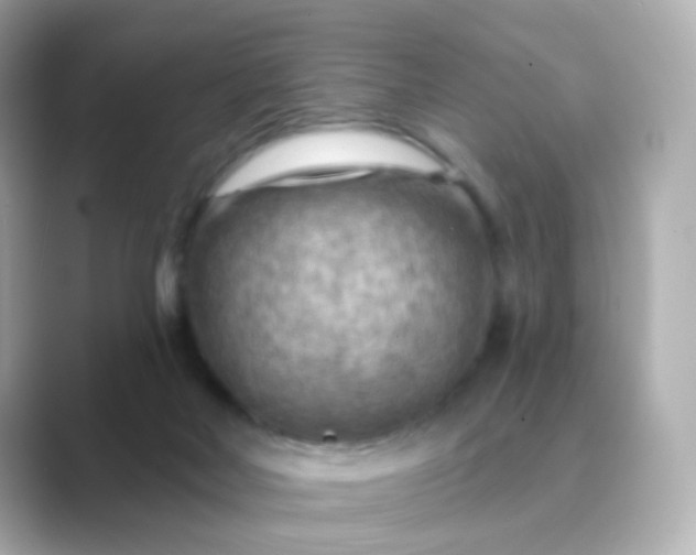 X0000088830026200706211823