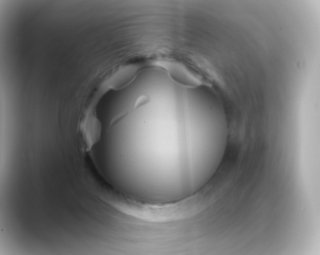 X0000088830027200706211823