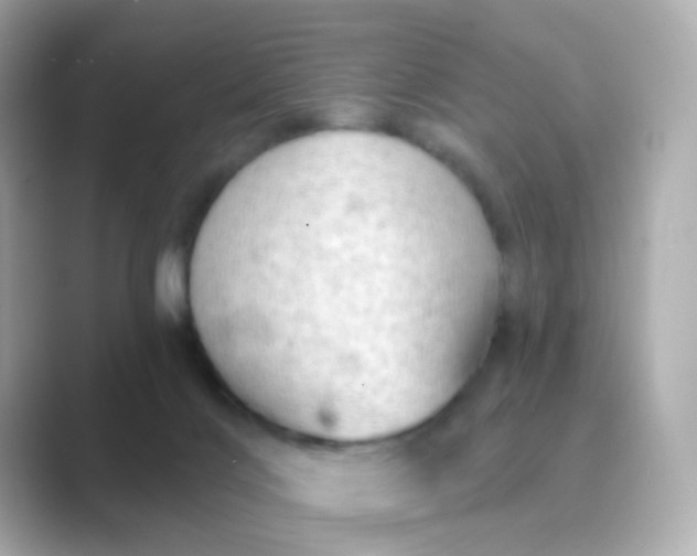 X0000088830028200706211823