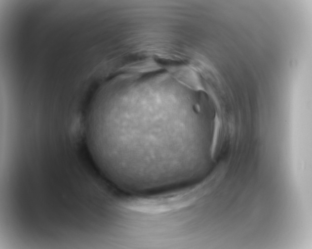 X0000088830029200706211823