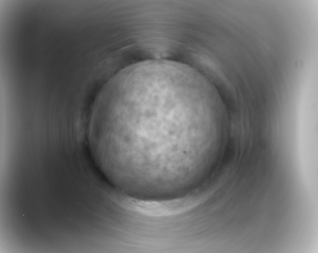 X0000088830030200706211823