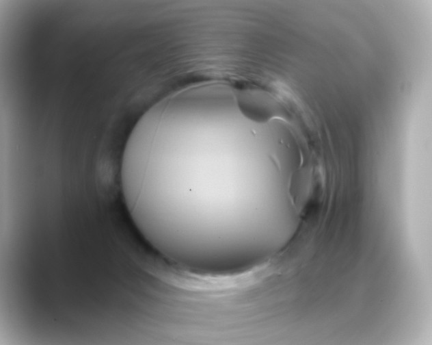 X0000088830031200706211823