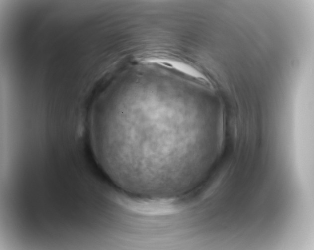 X0000088830032200706211823