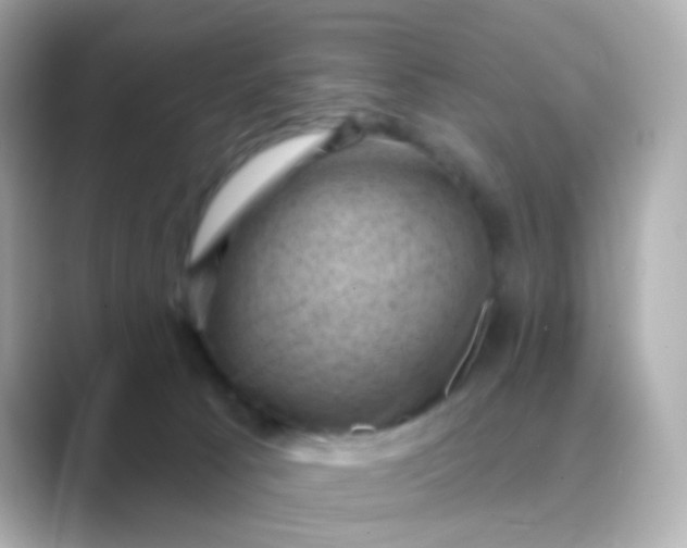 X0000088830033200706211823