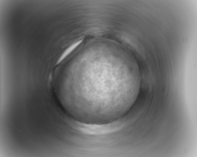 X0000088830034200706211823