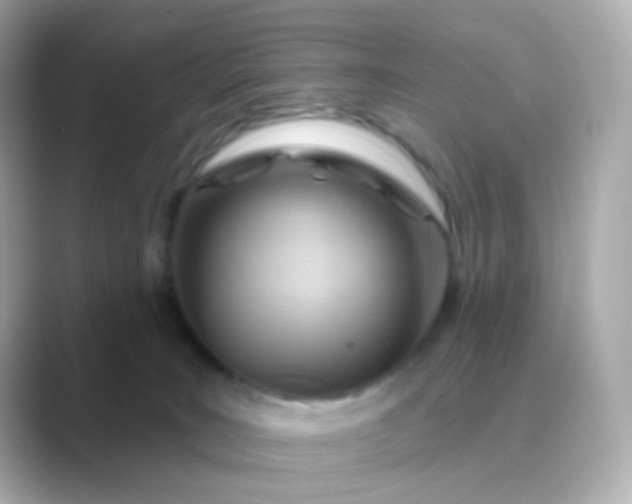 X0000088830035200706211823