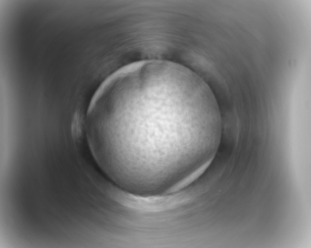 X0000088830038200706211822