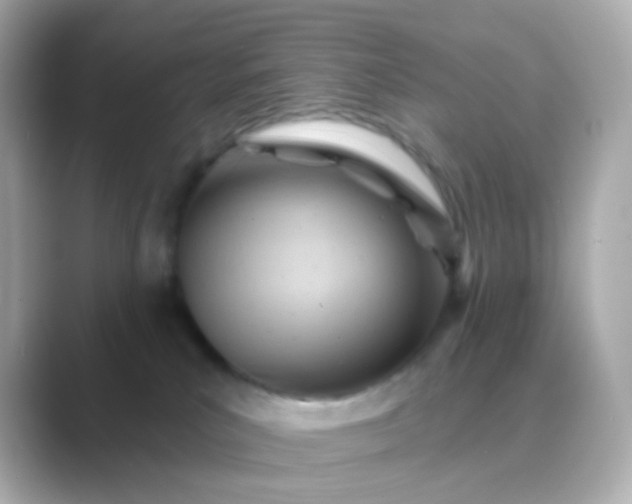 X0000088830039200706211822