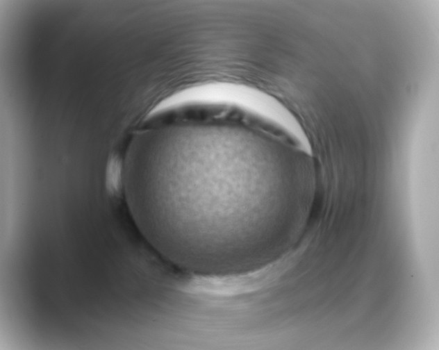 X0000088830041200706211822