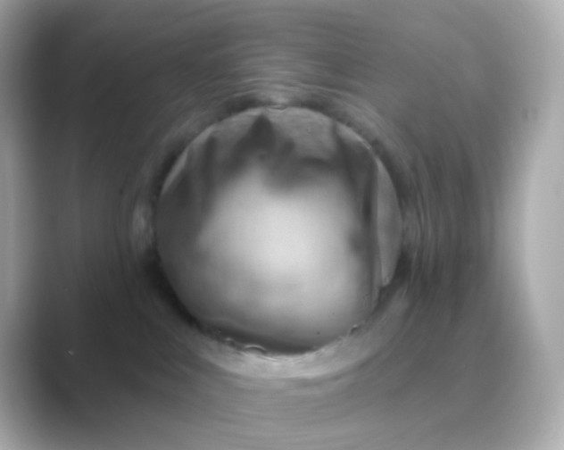 X0000088830043200706211822