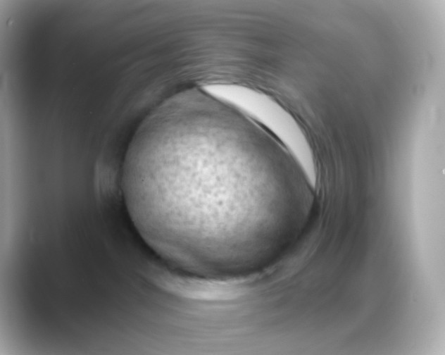 X0000088830044200706211822