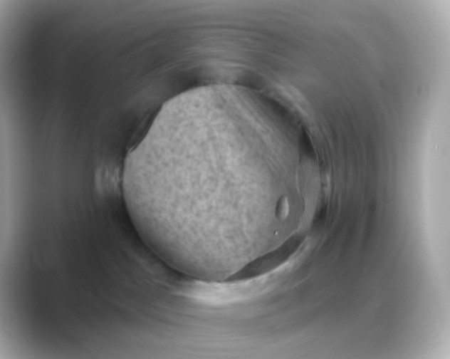 X0000088830045200706211822