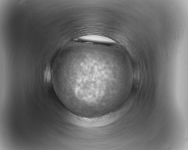 X0000088830046200706211822