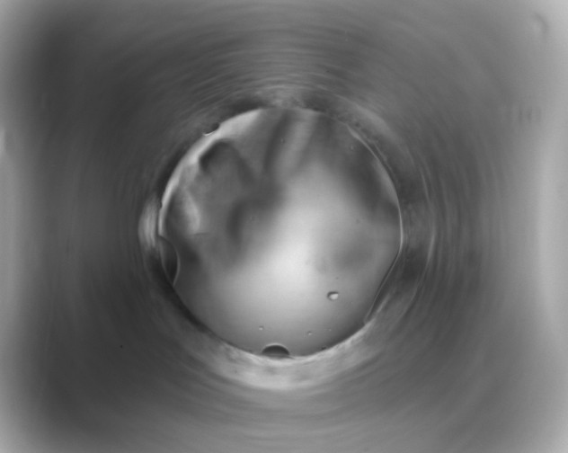 X0000088830047200706211822