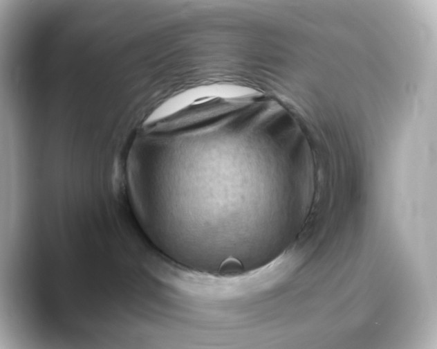 X0000088830048200706211822