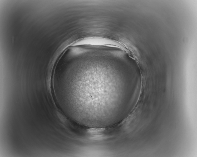 X0000088830051200706211822