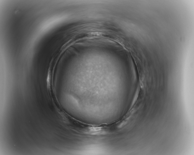 X0000088830052200706211822