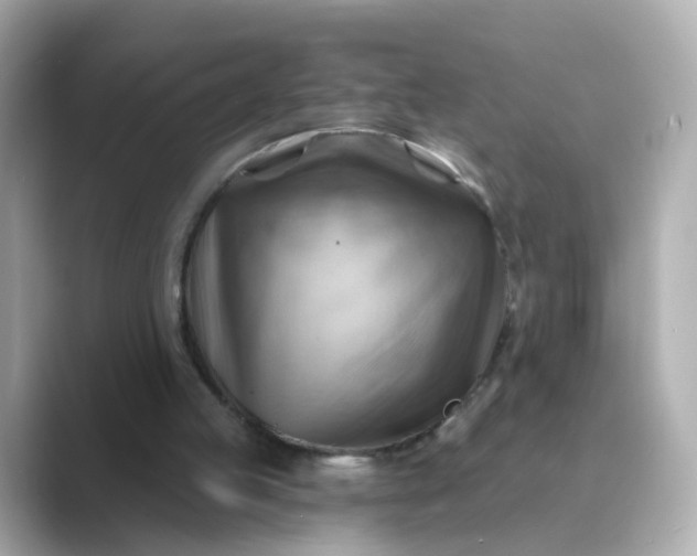 X0000088830053200706211822