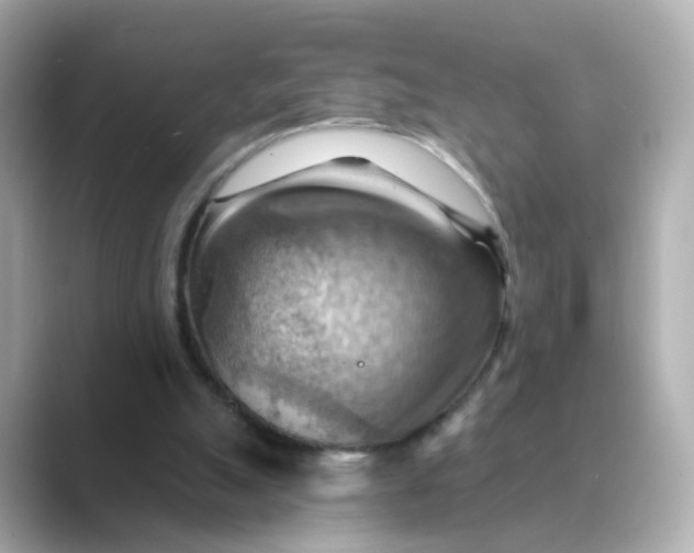 X0000088830055200706211822