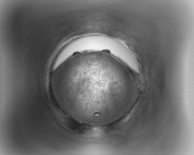 X0000088830056200706211822