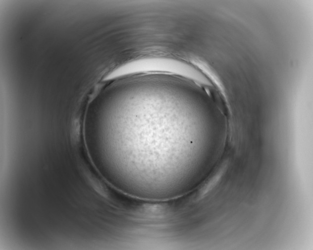 X0000088830057200706211822