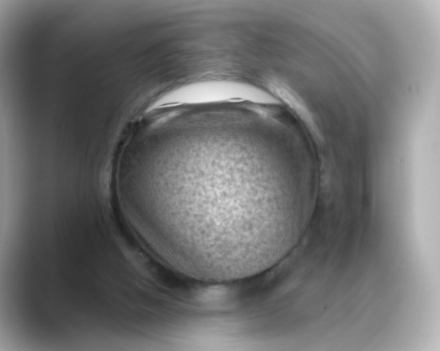 X0000088830058200706211822