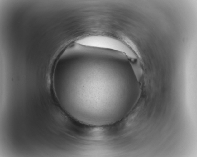 X0000088830059200706211822