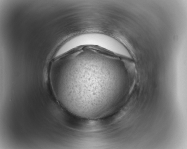 X0000088830060200706211822