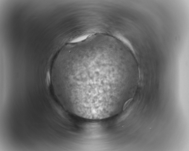 X0000088830061200706211822