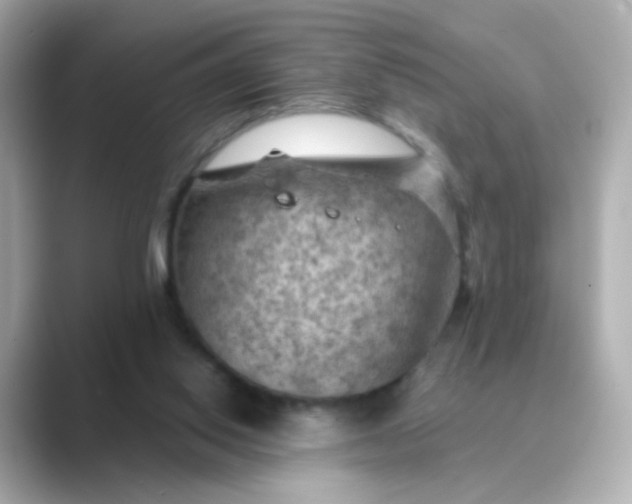 X0000088830062200706211822