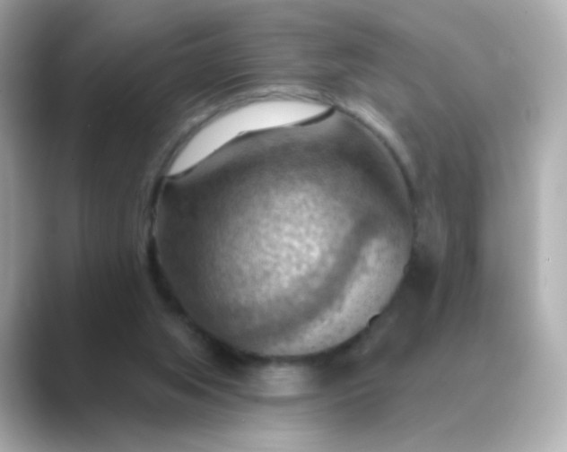 X0000088830063200706211822