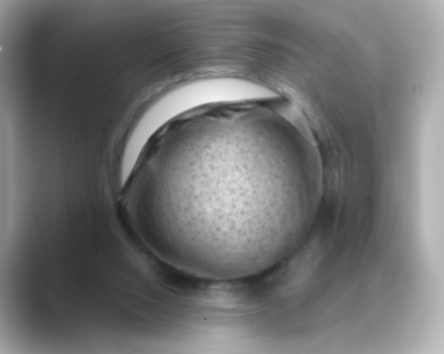 X0000088830064200706211822