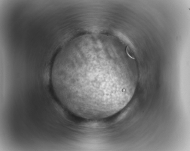 X0000088830065200706211822