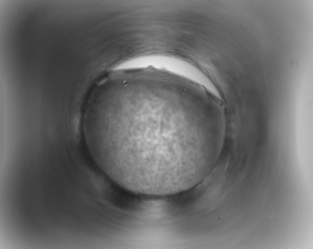 X0000088830066200706211822