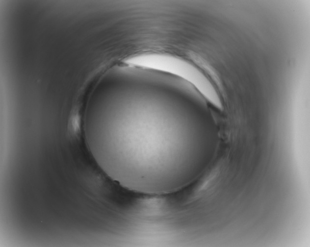 X0000088830067200706211822