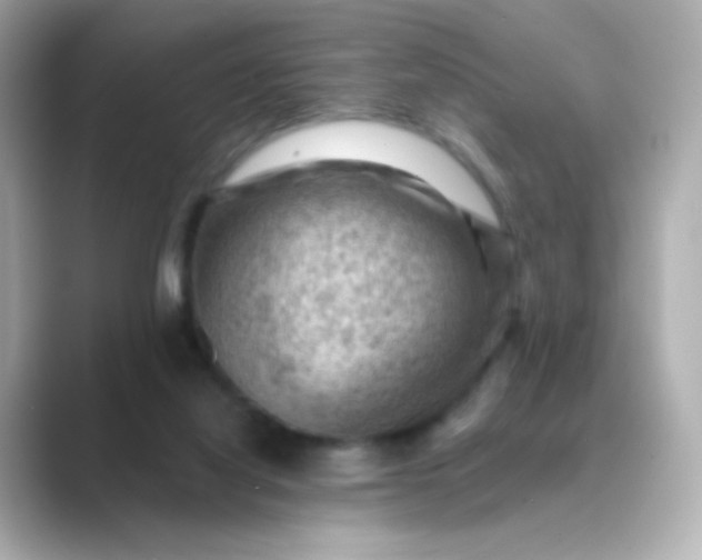 X0000088830068200706211822