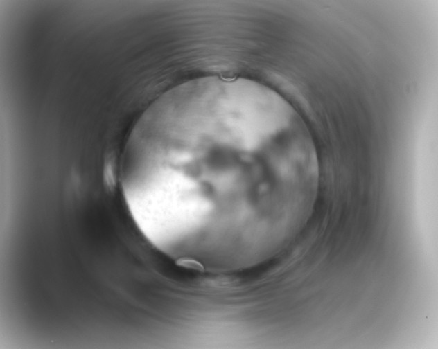 X0000088830069200706211822