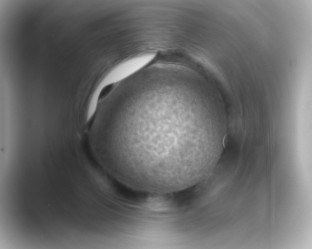 X0000088830070200706211822