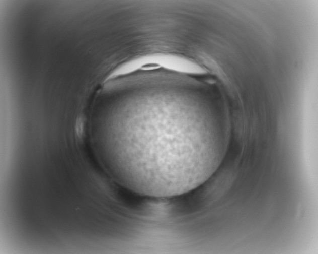 X0000088830071200706211822