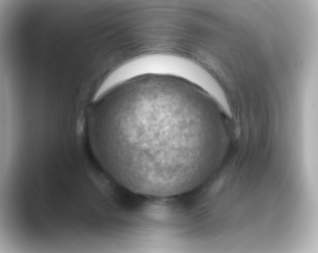 X0000088830072200706211822