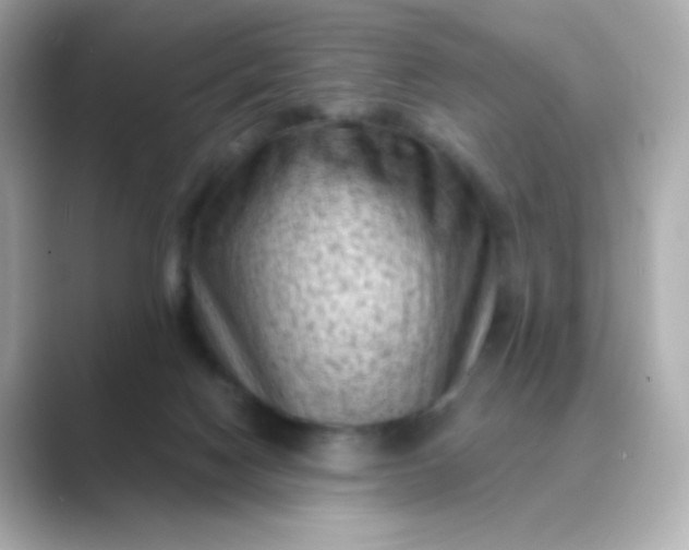 X0000088830074200706211822