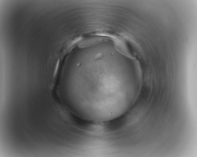 X0000088830076200706211822