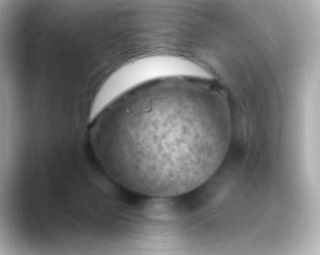 X0000088830077200706211822