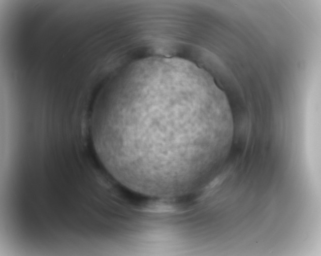 X0000088830078200706211822