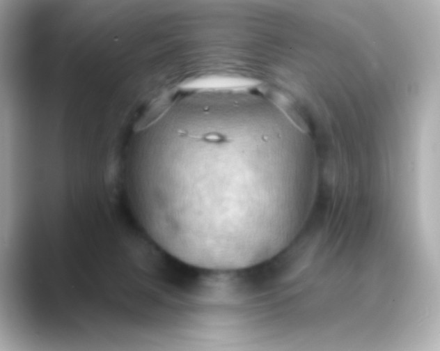 X0000088830079200706211822